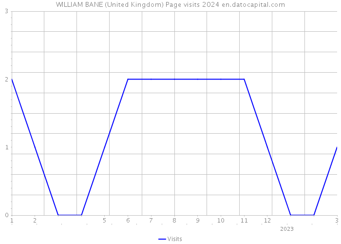 WILLIAM BANE (United Kingdom) Page visits 2024 