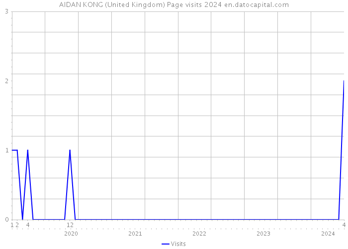 AIDAN KONG (United Kingdom) Page visits 2024 
