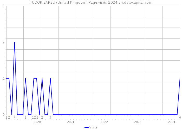 TUDOR BARBU (United Kingdom) Page visits 2024 