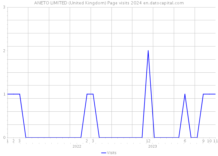 ANETO LIMITED (United Kingdom) Page visits 2024 