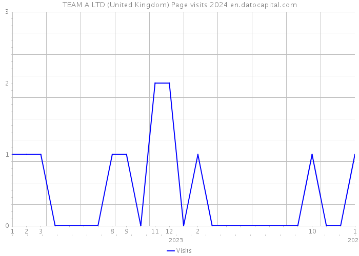 TEAM A LTD (United Kingdom) Page visits 2024 