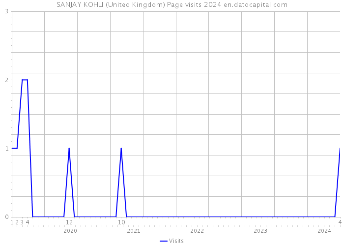 SANJAY KOHLI (United Kingdom) Page visits 2024 