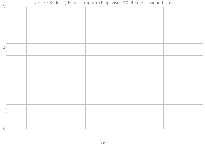 Tomasz Budnik (United Kingdom) Page visits 2024 