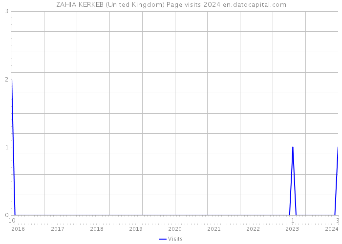ZAHIA KERKEB (United Kingdom) Page visits 2024 