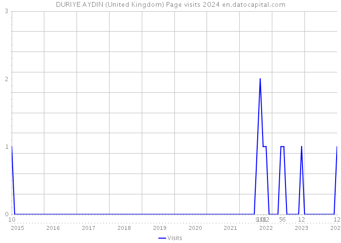 DURIYE AYDIN (United Kingdom) Page visits 2024 