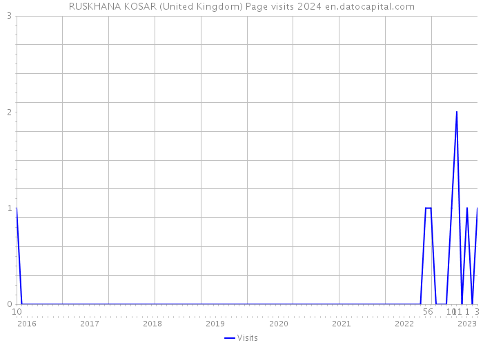 RUSKHANA KOSAR (United Kingdom) Page visits 2024 