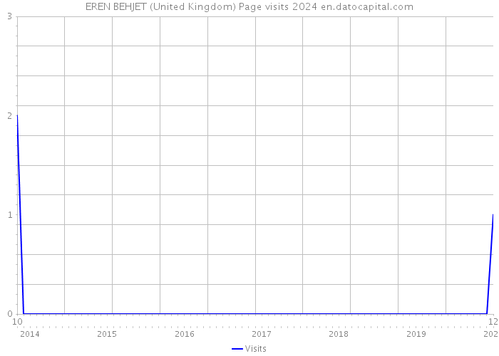 EREN BEHJET (United Kingdom) Page visits 2024 