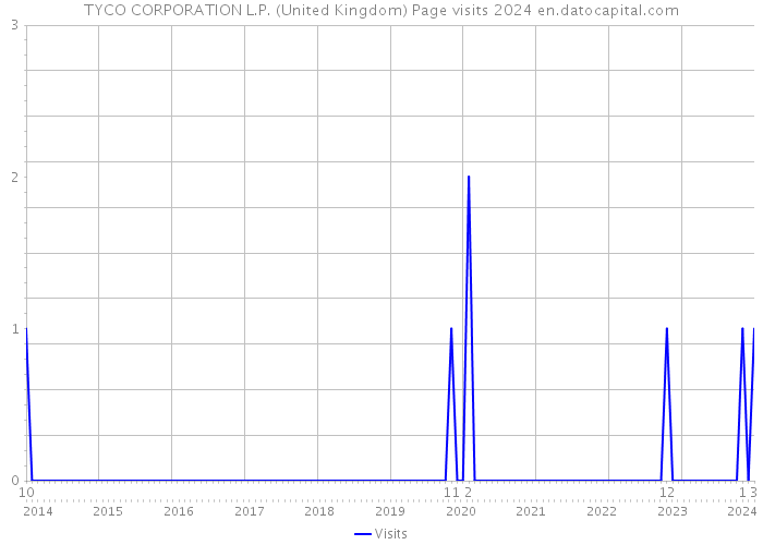 TYCO CORPORATION L.P. (United Kingdom) Page visits 2024 