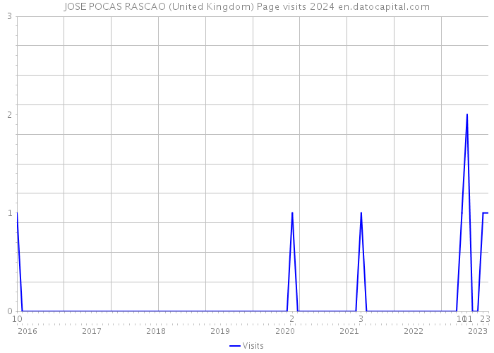 JOSE POCAS RASCAO (United Kingdom) Page visits 2024 