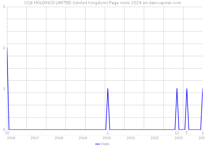GOJI HOLDINGS LIMITED (United Kingdom) Page visits 2024 
