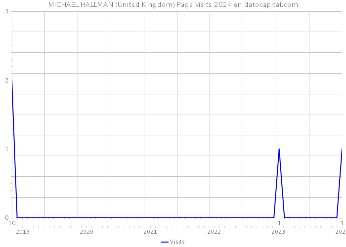 MICHAEL HALLMAN (United Kingdom) Page visits 2024 