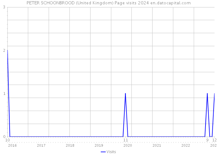 PETER SCHOONBROOD (United Kingdom) Page visits 2024 