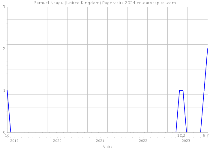 Samuel Neagu (United Kingdom) Page visits 2024 