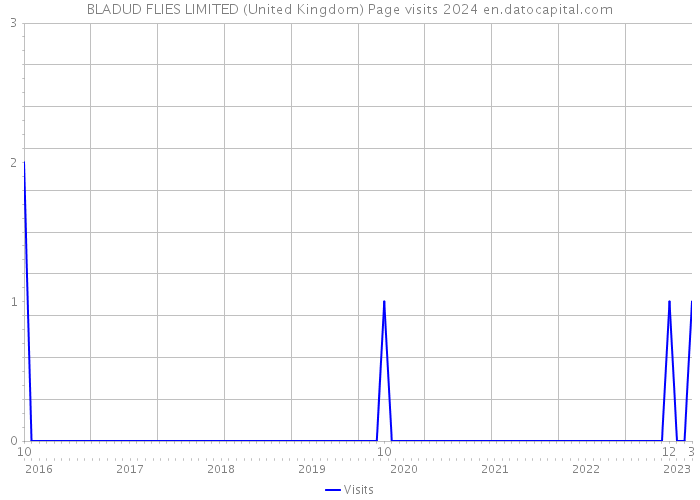 BLADUD FLIES LIMITED (United Kingdom) Page visits 2024 