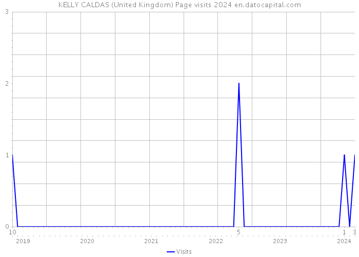 KELLY CALDAS (United Kingdom) Page visits 2024 