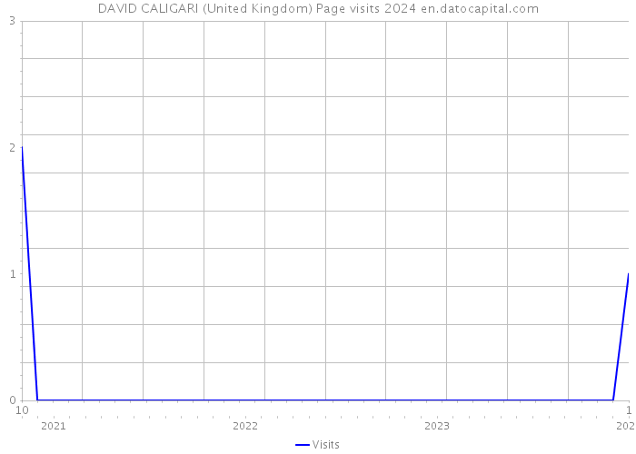 DAVID CALIGARI (United Kingdom) Page visits 2024 