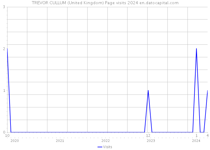 TREVOR CULLUM (United Kingdom) Page visits 2024 