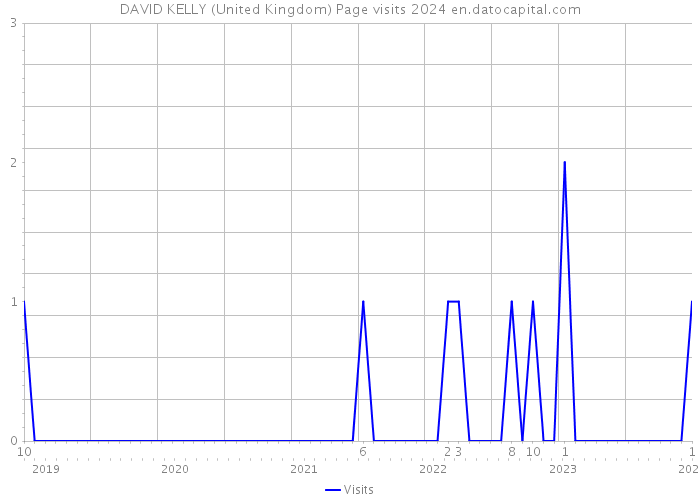 DAVID KELLY (United Kingdom) Page visits 2024 