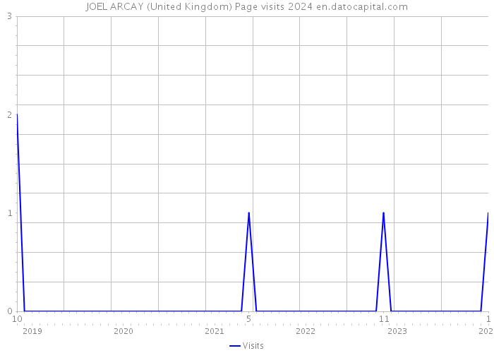 JOEL ARCAY (United Kingdom) Page visits 2024 