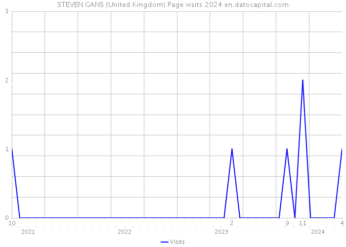 STEVEN GANS (United Kingdom) Page visits 2024 