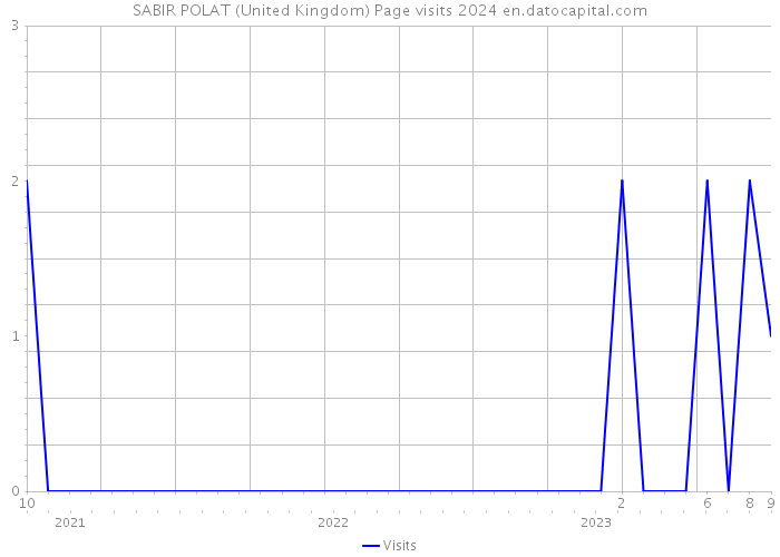 SABIR POLAT (United Kingdom) Page visits 2024 