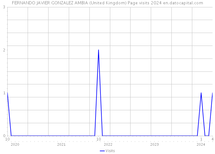 FERNANDO JAVIER GONZALEZ AMBIA (United Kingdom) Page visits 2024 