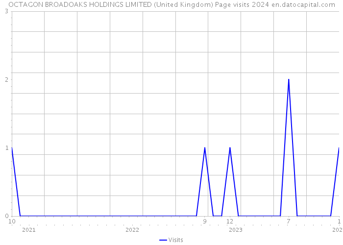 OCTAGON BROADOAKS HOLDINGS LIMITED (United Kingdom) Page visits 2024 