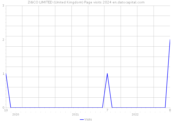 ZI&CO LIMITED (United Kingdom) Page visits 2024 