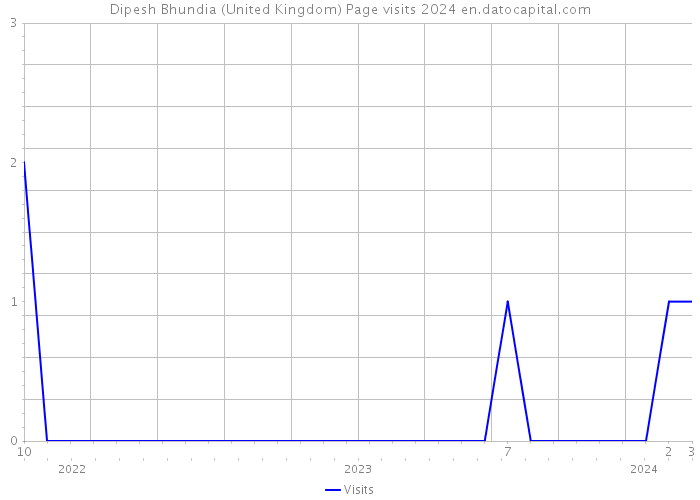 Dipesh Bhundia (United Kingdom) Page visits 2024 