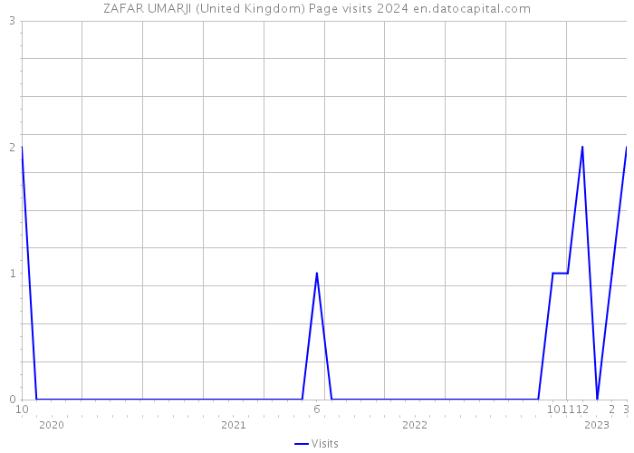 ZAFAR UMARJI (United Kingdom) Page visits 2024 