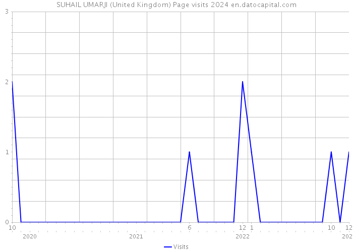 SUHAIL UMARJI (United Kingdom) Page visits 2024 