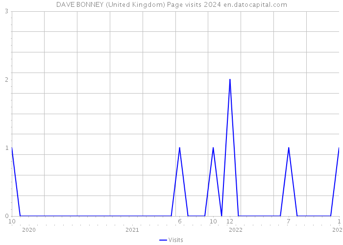 DAVE BONNEY (United Kingdom) Page visits 2024 