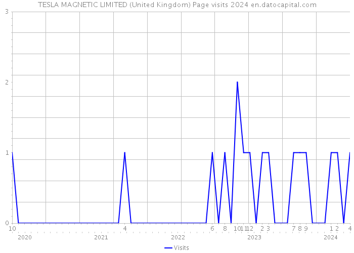 TESLA MAGNETIC LIMITED (United Kingdom) Page visits 2024 