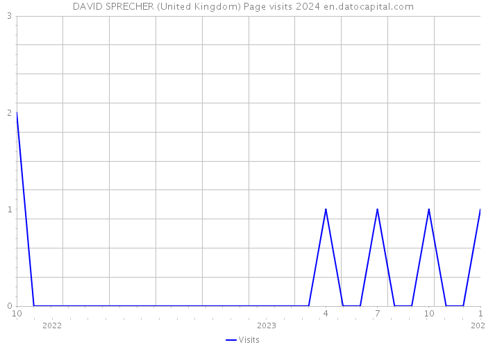 DAVID SPRECHER (United Kingdom) Page visits 2024 