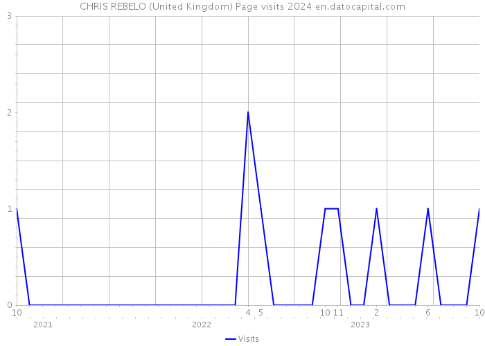 CHRIS REBELO (United Kingdom) Page visits 2024 