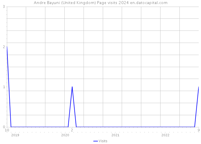 Andre Bayuni (United Kingdom) Page visits 2024 