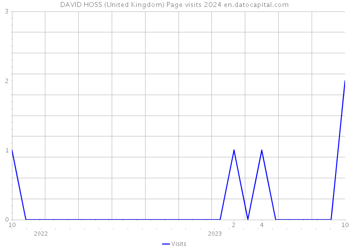 DAVID HOSS (United Kingdom) Page visits 2024 