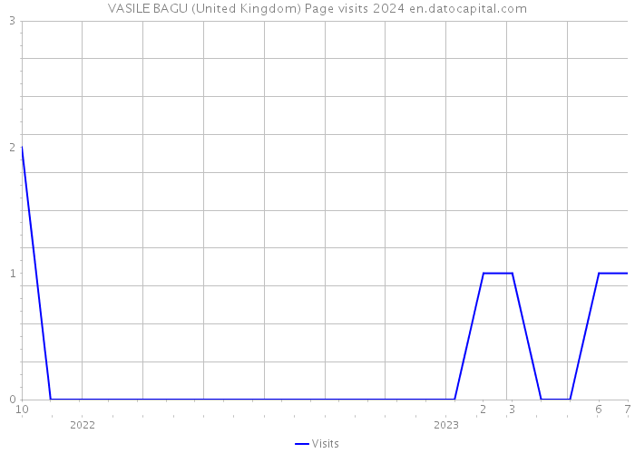 VASILE BAGU (United Kingdom) Page visits 2024 
