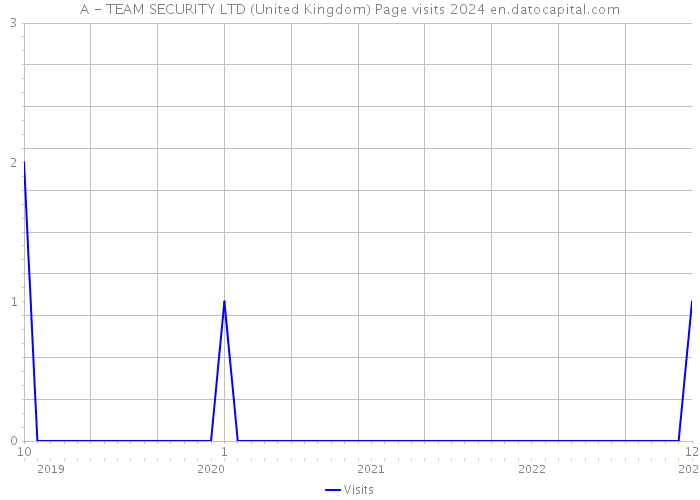 A - TEAM SECURITY LTD (United Kingdom) Page visits 2024 