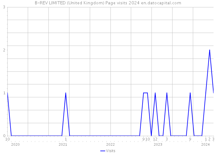 B-REV LIMITED (United Kingdom) Page visits 2024 