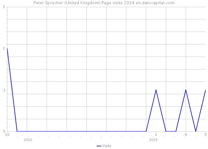 Peter Sprecher (United Kingdom) Page visits 2024 