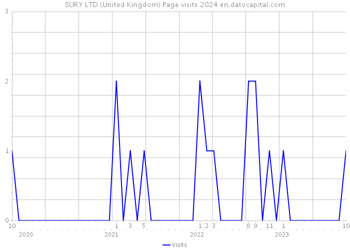 SURY LTD (United Kingdom) Page visits 2024 
