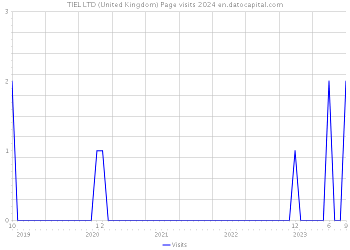 TIEL LTD (United Kingdom) Page visits 2024 