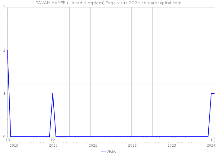 PAVAN HAYER (United Kingdom) Page visits 2024 