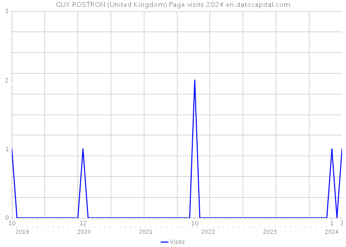 GUY ROSTRON (United Kingdom) Page visits 2024 