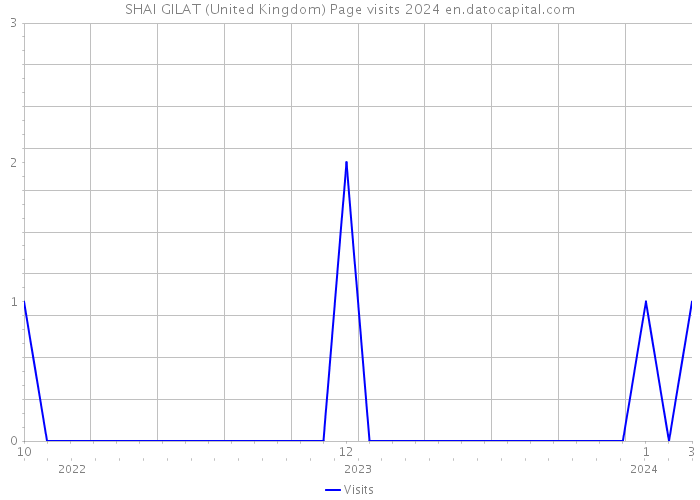 SHAI GILAT (United Kingdom) Page visits 2024 