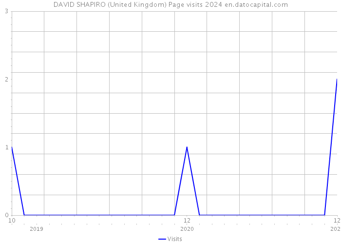 DAVID SHAPIRO (United Kingdom) Page visits 2024 