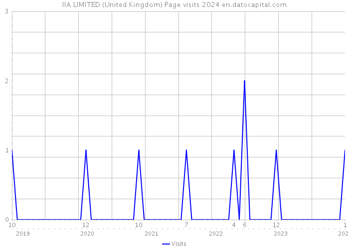 IIA LIMITED (United Kingdom) Page visits 2024 