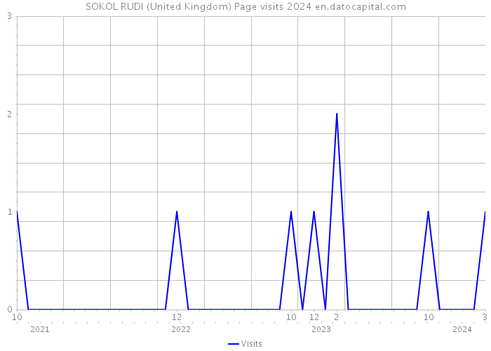 SOKOL RUDI (United Kingdom) Page visits 2024 