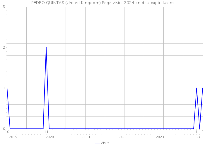 PEDRO QUINTAS (United Kingdom) Page visits 2024 